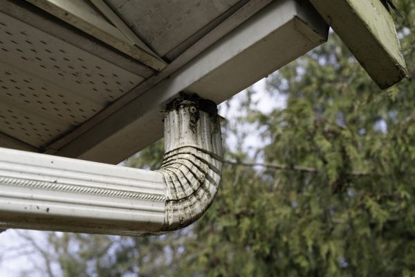 Roof Drain Replacement in Kingwood