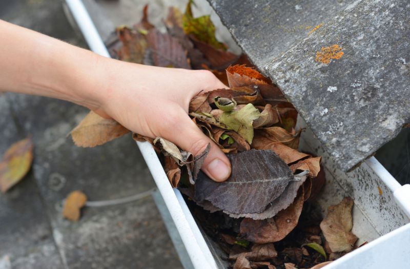 Fall Gutter Cleaning